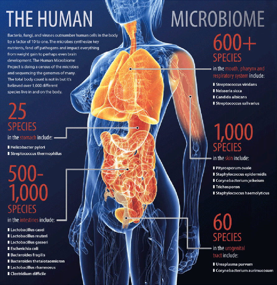 Strumenti: Microbioma
